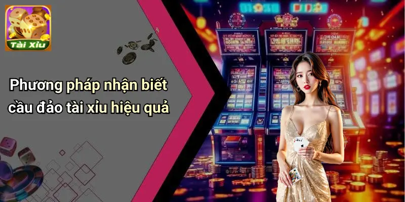 Cầu Đảo Tài Xỉu