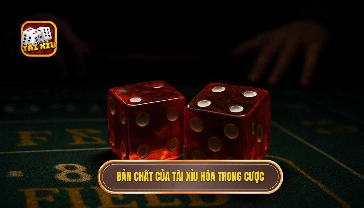 Hiểu đúng về bản chất của tài xỉu hòa trong các hình thức cược