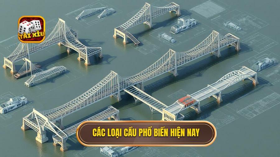 2. Các loại cầu phổ biến hiện nay