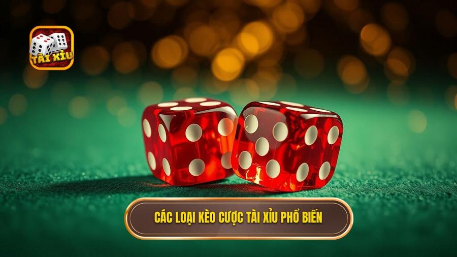 Các loại kèo cược tài xỉu phổ biến
