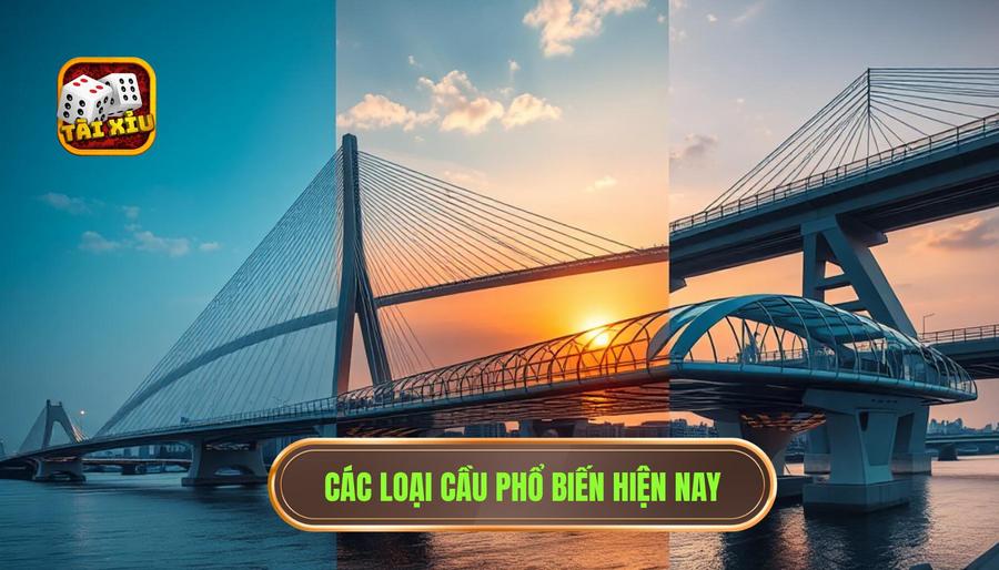 Các loại cầu phổ biến thường xuất hiện hiện nay