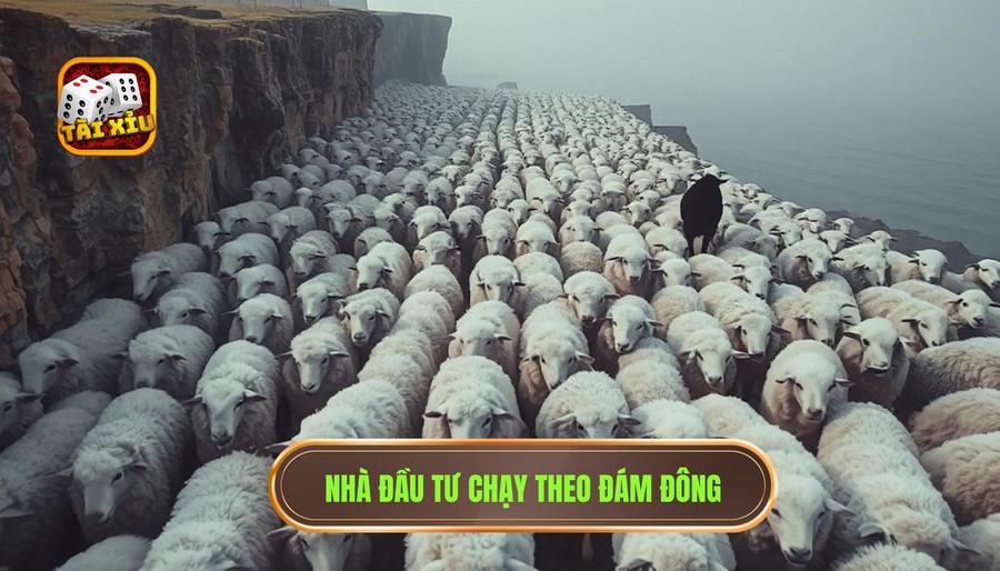 Đánh theo đám đông và thiếu chính kiến