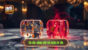 Chơi tài xỉu nên dùng logic hay cảm tính? Bí quyết thắng lớn